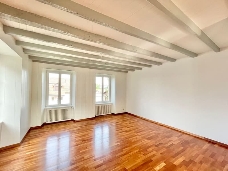 Spacieuse maison individuelle avec cachet (6)