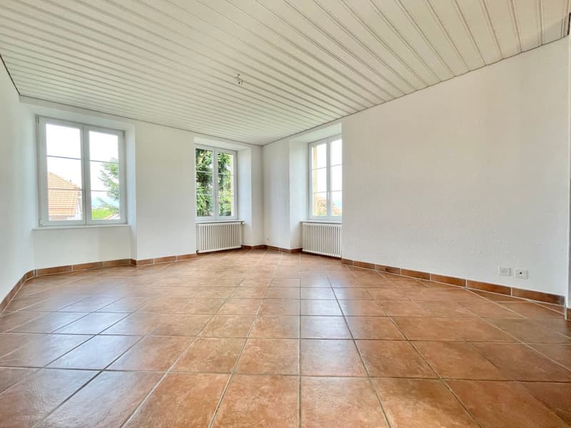 Spacieuse maison individuelle avec cachet (4)