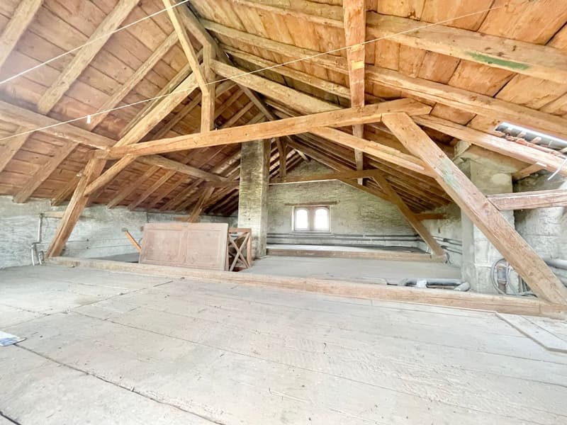 Spacieuse maison individuelle avec cachet (11)