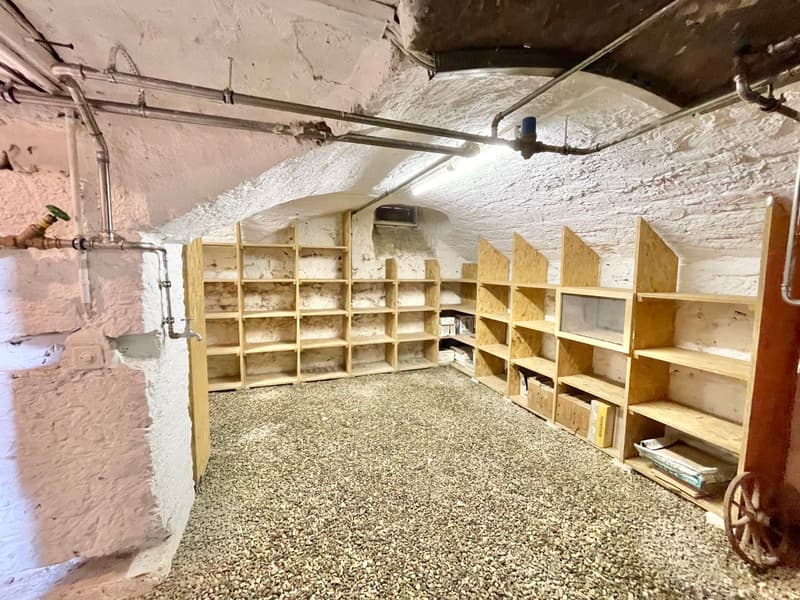 Spacieuse maison individuelle avec cachet (12)
