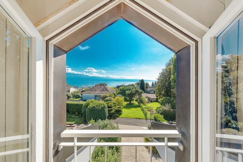 Exceptionnelle adresse pour cette individuelle au centre de Pully (8)