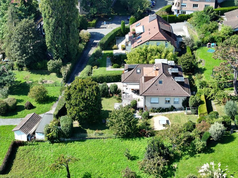 Exceptionnelle adresse pour cette individuelle au centre de Pully (2)