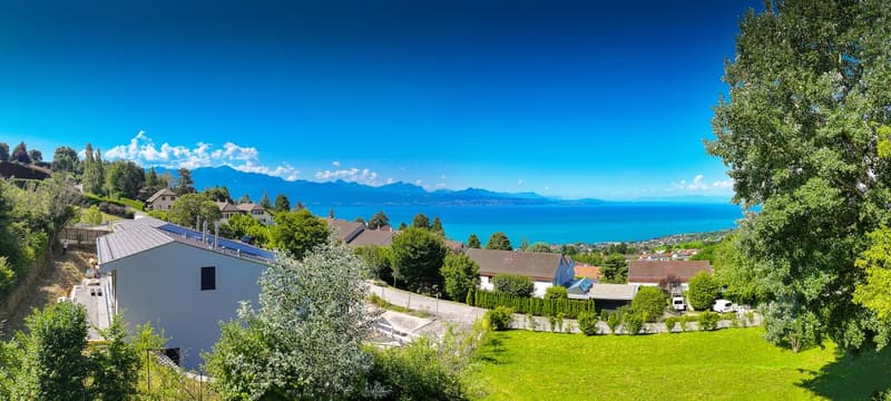 Magnifique propriété avec potentiel de développement (2)
