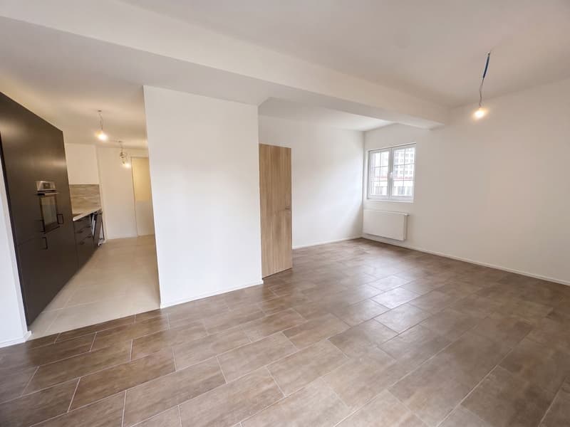 Duplex entièrement rénové à vendre à Gimel (2)