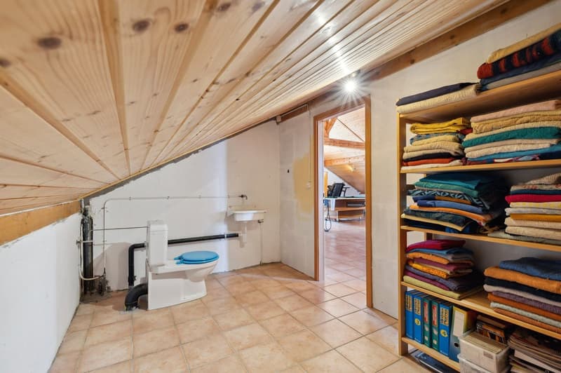 Villa individuelle avec grand studio indépendant et possibilités multiples sur grande parcelle (13)