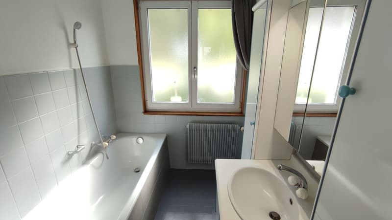 Villa individuelle avec grand studio indépendant et possibilités multiples sur grande parcelle (11)