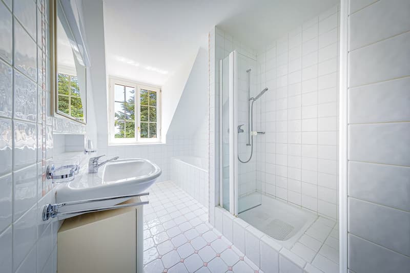 Magnifique propriété familiale avec piscine et vaste parcelle (13)
