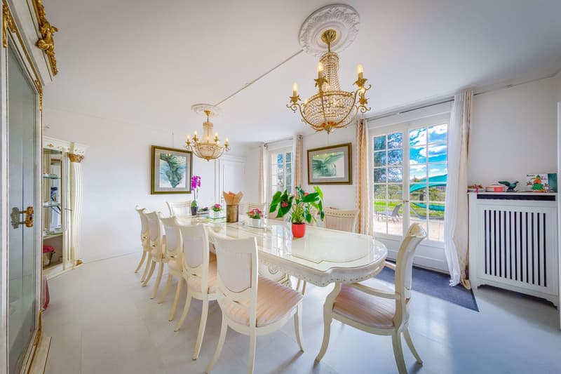 Maison de Luxe Familiale à Presinge (3)