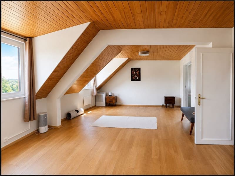 Maison jumelée spacieuse de 6 pièces à Puplinge (3)
