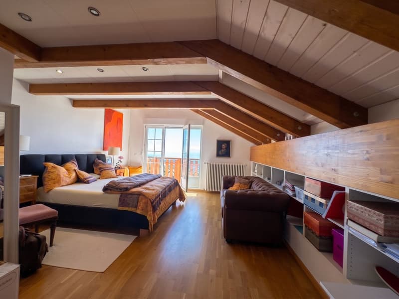 Charmante maison avec vue époustouflante sur le lac et le Mt-Blanc! (12)