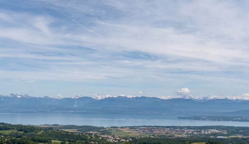 Charmante maison avec vue époustouflante sur le lac et le Mt-Blanc! (4)