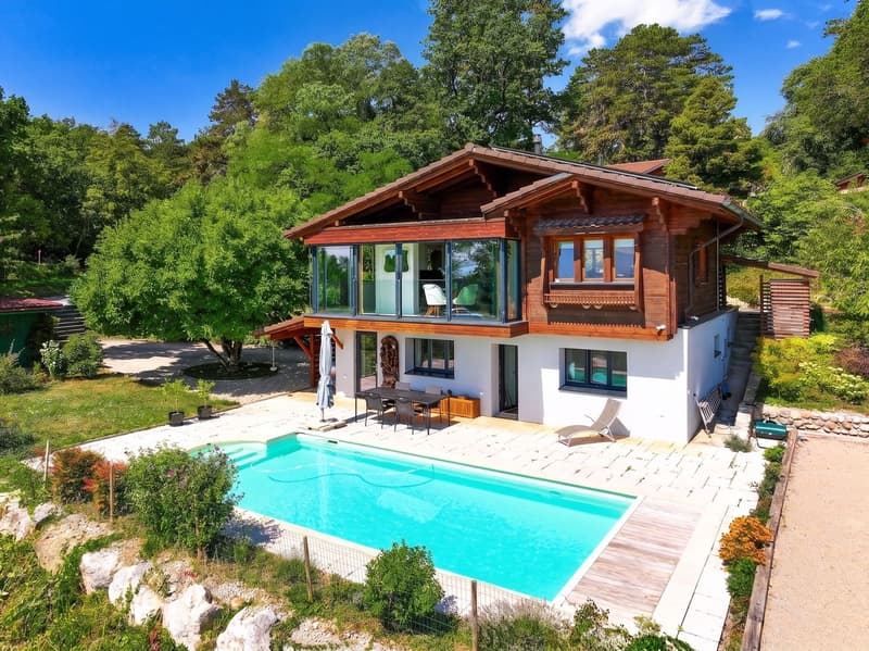 Très belle villa avec vue panoramique sur le lac & le Mt-Blanc! (1)