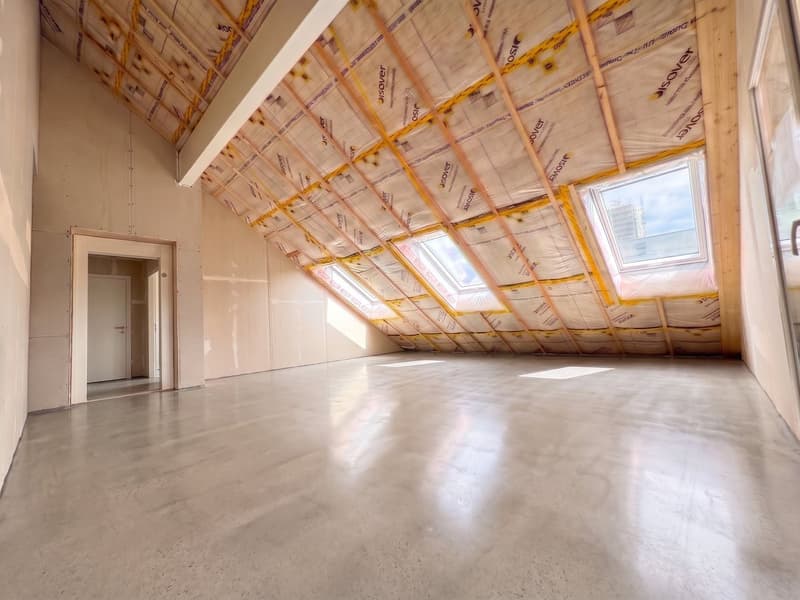 DERNIER LOT !!! Attique de 3.5 pces avec 2 grandes terrasses et parking couvert (6)