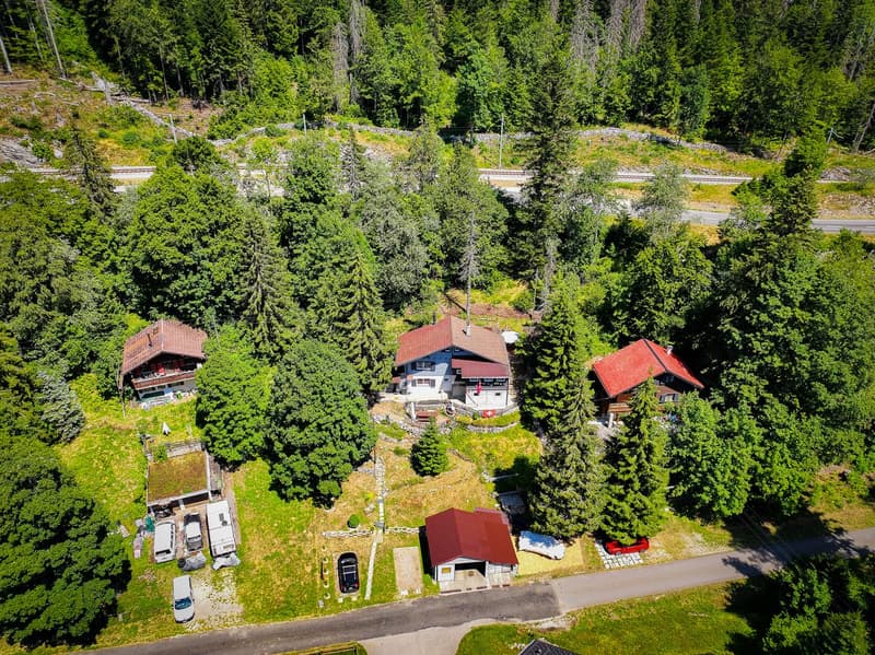 Joli Chalet à potentiel! (2)