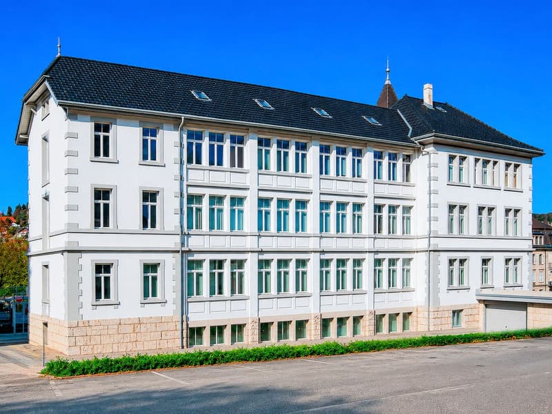 Bâtiment de rendement partie de l'UNESCO (potentiel d'extention et rendement brut 5.77%) (3)