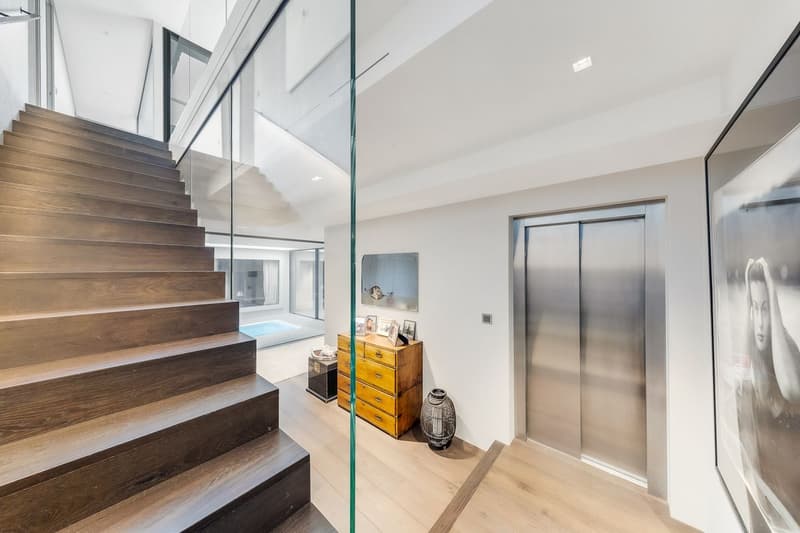 Villa contemporaine d'exception - Accès privé au lac (8)