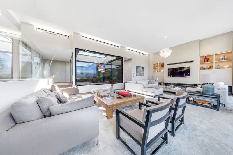 Villa contemporaine d'exception - Accès privé au lac (7)