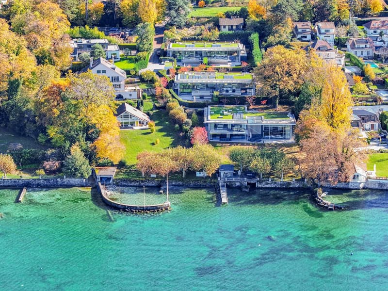 Villa contemporaine d'exception - Accès privé au lac (3)