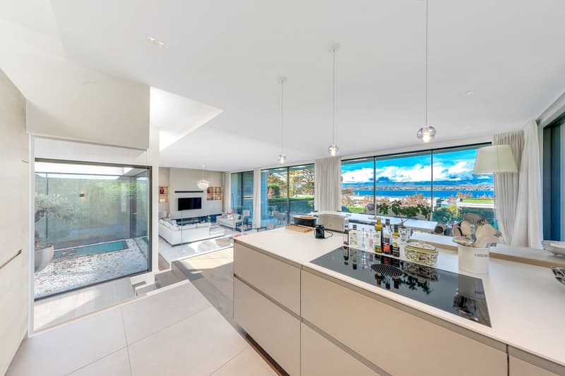 Villa contemporaine d'exception - Accès privé au lac (6)