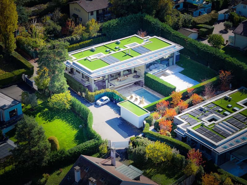 Villa contemporaine d'exception - Accès privé au lac (1)