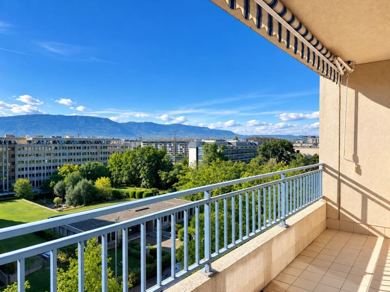 Appartement spacieux de 4 chambres à Petit Sacconex (2)