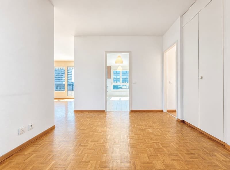 Appartement spacieux de 4 chambres à Petit Sacconex (4)