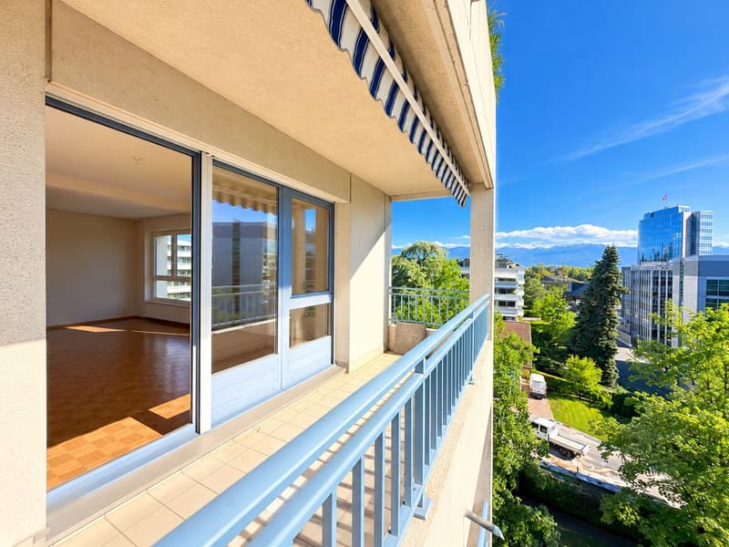 Appartement spacieux de 4 chambres à Petit Sacconex (1)