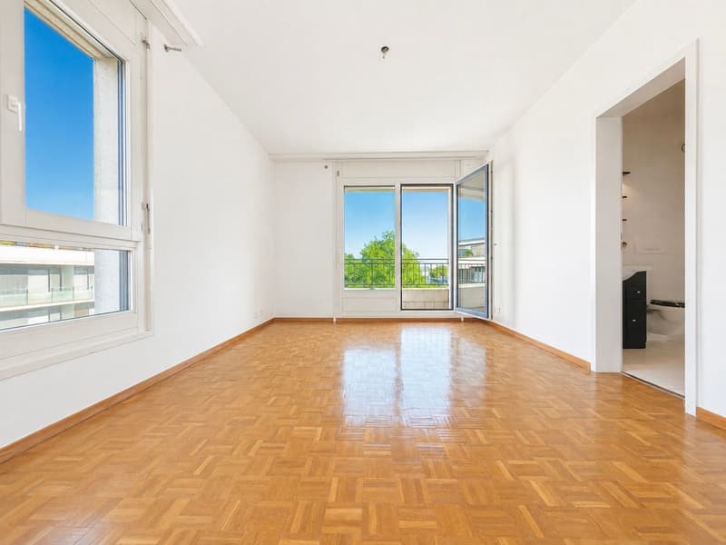 Appartement spacieux de 4 chambres à Petit Sacconex (12)