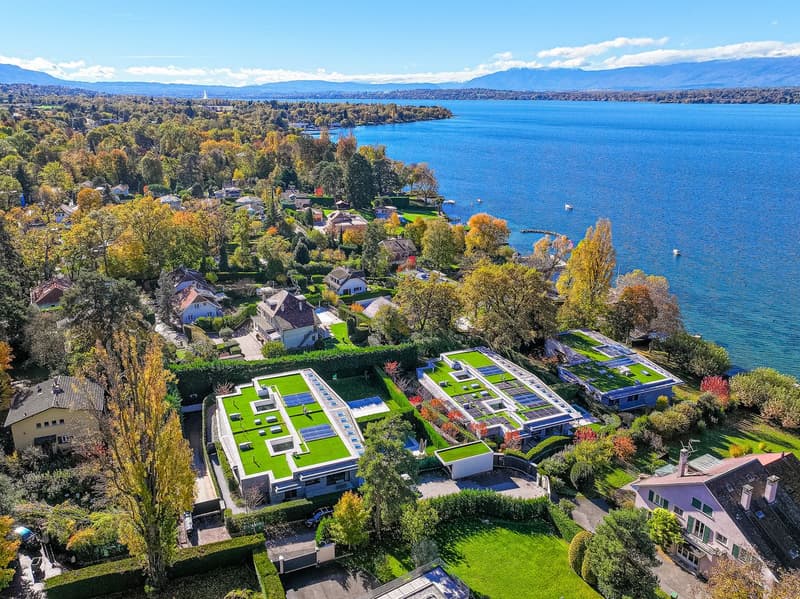 Villa contemporaine d'exception - Accès privé au lac (2)