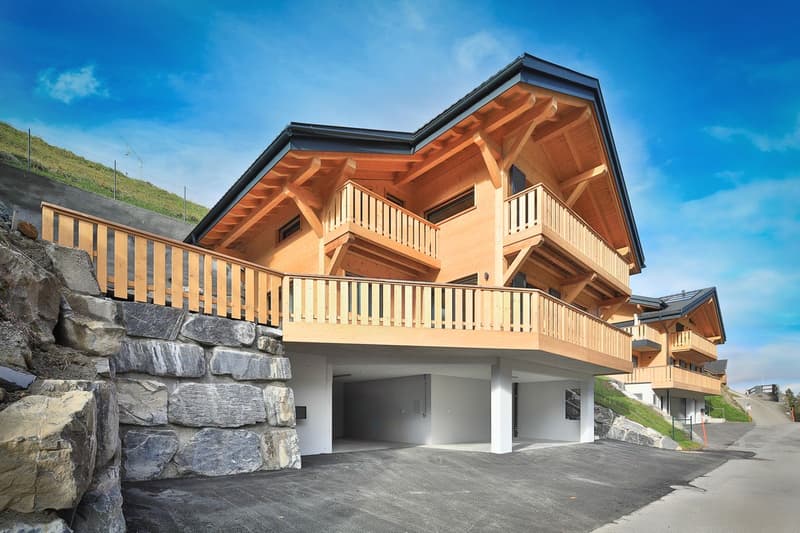 Chalet neuf d'exception dans un environnement calme et paisible (1)