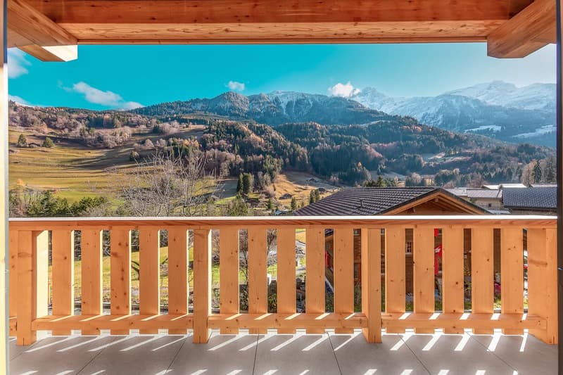 Chalet neuf d'exception dans un environnement calme et paisible (2)