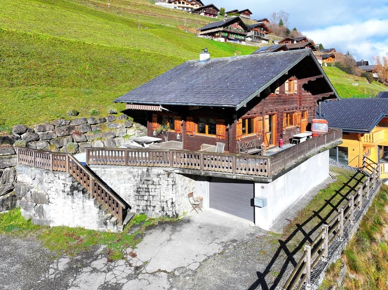 Havre de tranquillité avec ouverture sur les Alpes (2)