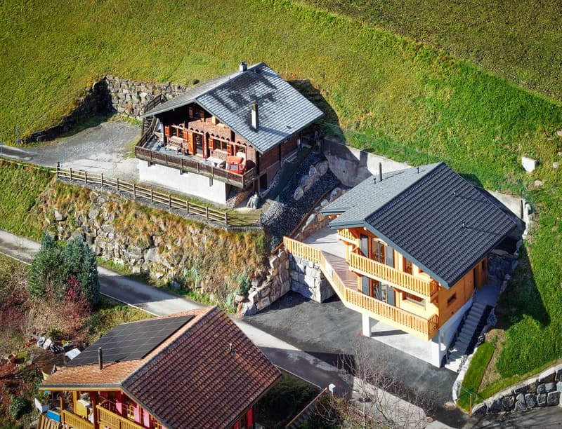 Havre de tranquillité avec ouverture sur les Alpes (4)