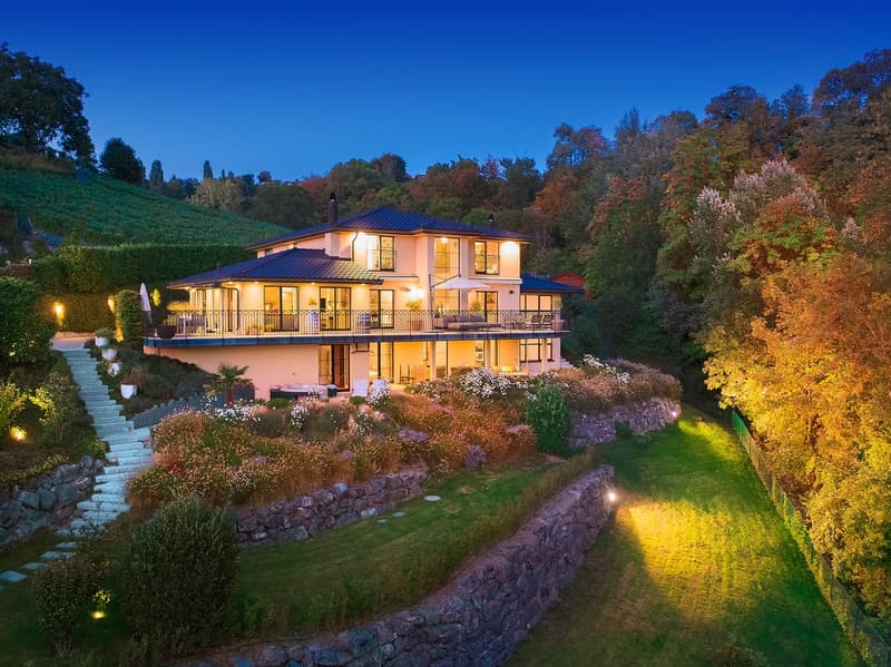 Villa d'exception avec vue imprenable, entre lac et nature (1)