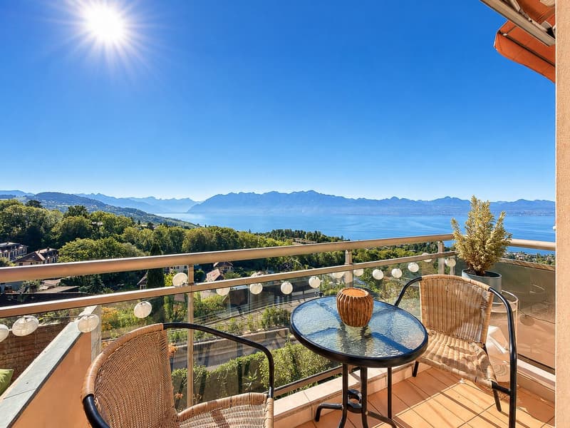 Élégant 2.5 pièces rénové, vue panoramique sur le lac et les Alpes (6)