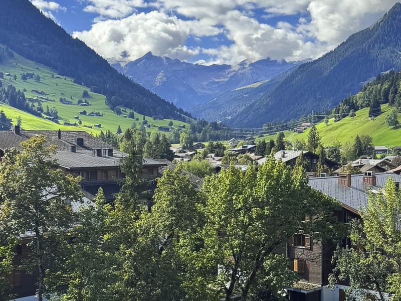 Charming appartment in the center of Gstaad - Valley & Palace views (2)
