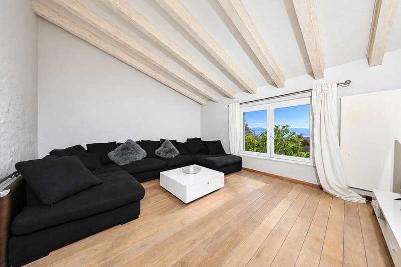 Superbe villa avec panorama sur le Léman, les Alpes et le Mont-Blanc (9)