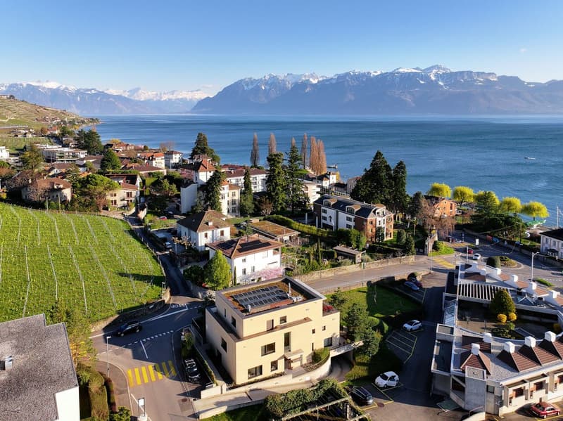 Emplacement privilégié à deux pas du lac (1)