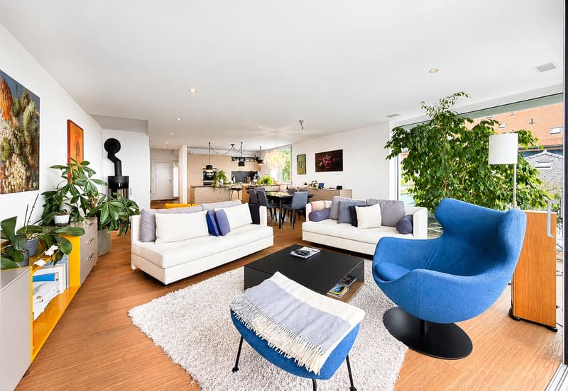 L'élégance d'un somptueux duplex avec vue (4)