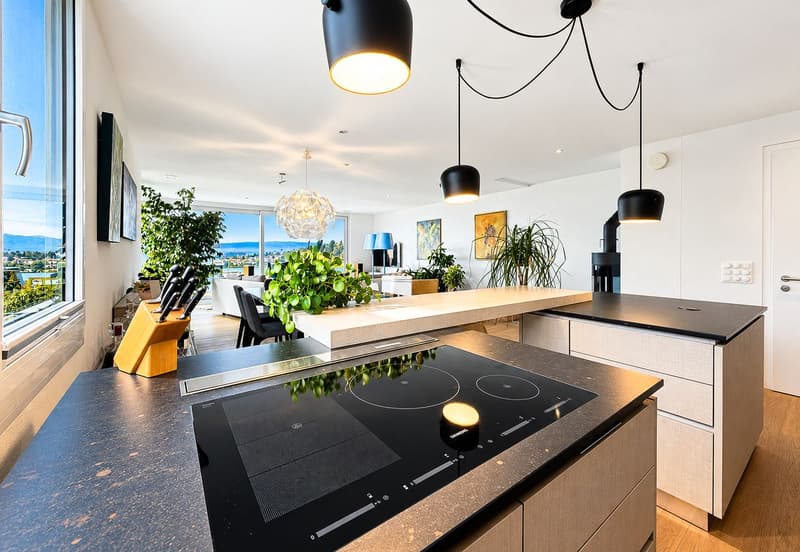 L'élégance d'un somptueux duplex avec vue (8)