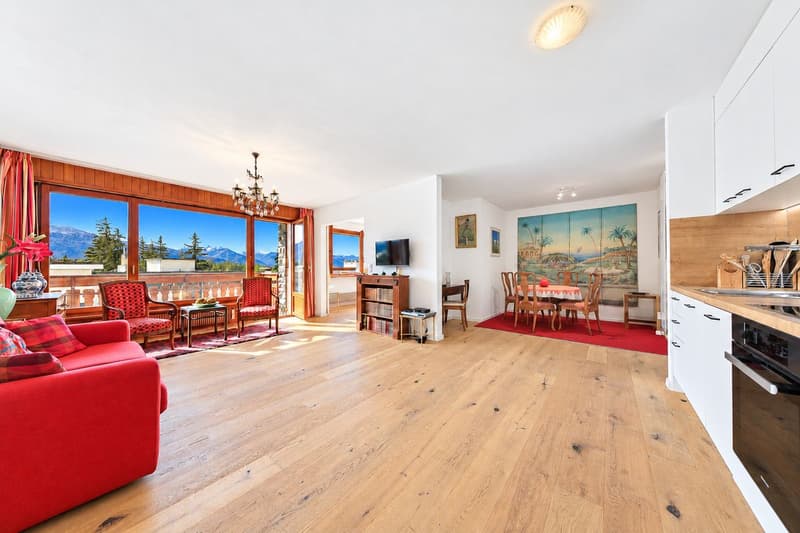 Magnifique appartement rénové, baigné de lumière avec balcon offrant une vue sur les montagnes (3)