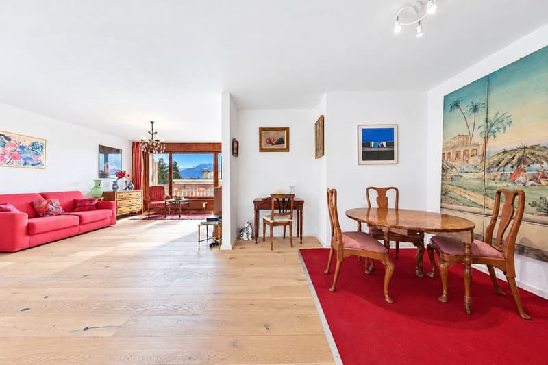 Magnifique appartement rénové, baigné de lumière avec balcon offrant une vue sur les montagnes (6)