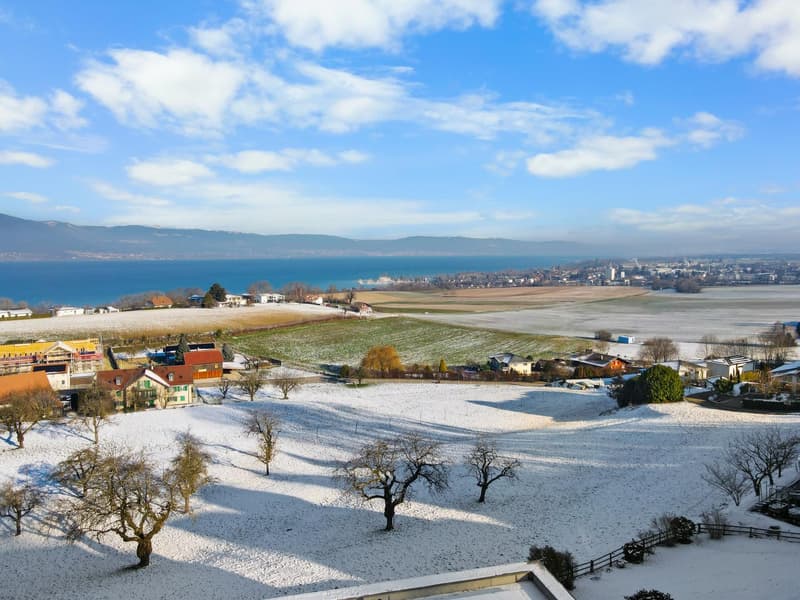 Offrez vous cette magnifique villa avec vue sur le lac de Neuchâtel ! (1)