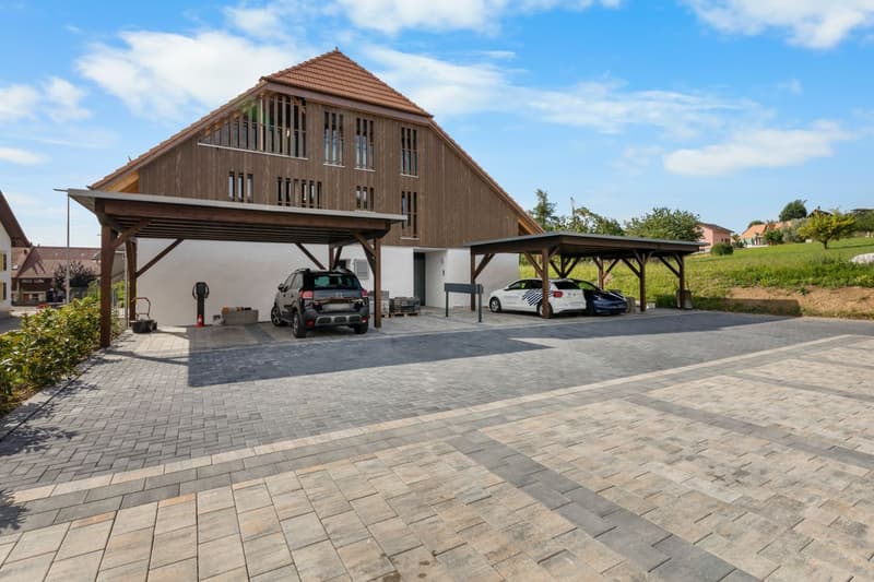 Élégance d'antan et confort moderne pour ce 4,5 pièces dans un bâtiment classé (13)
