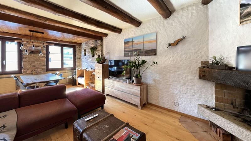 Immeuble de charme idéalement situé (4)