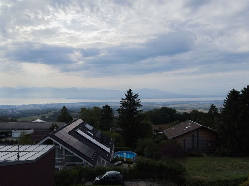 Lumière et volumes - Une villa d'exception face au Léman (6)