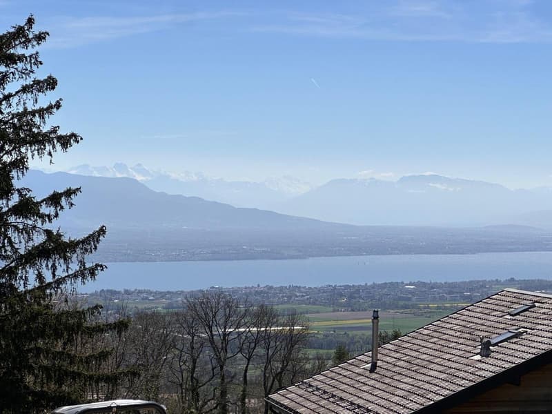 Lumière et volumes - Une villa d'exception face au Léman (6)