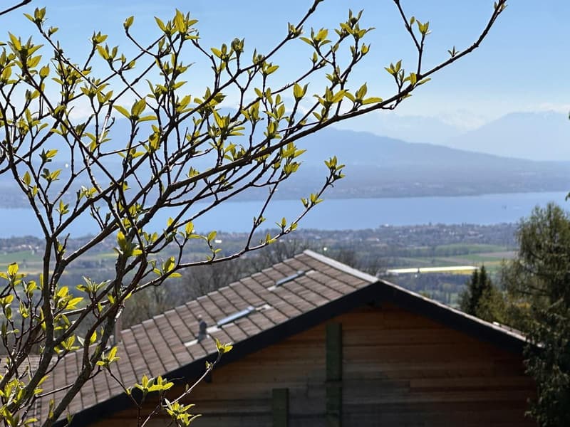 Lumière et volumes - Une villa d'exception face au Léman (8)