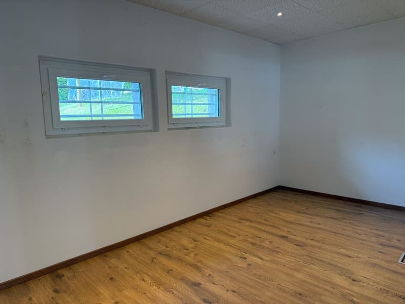 Local commercial polyvalent de 122m2 avec sous-sol et parkings (6)