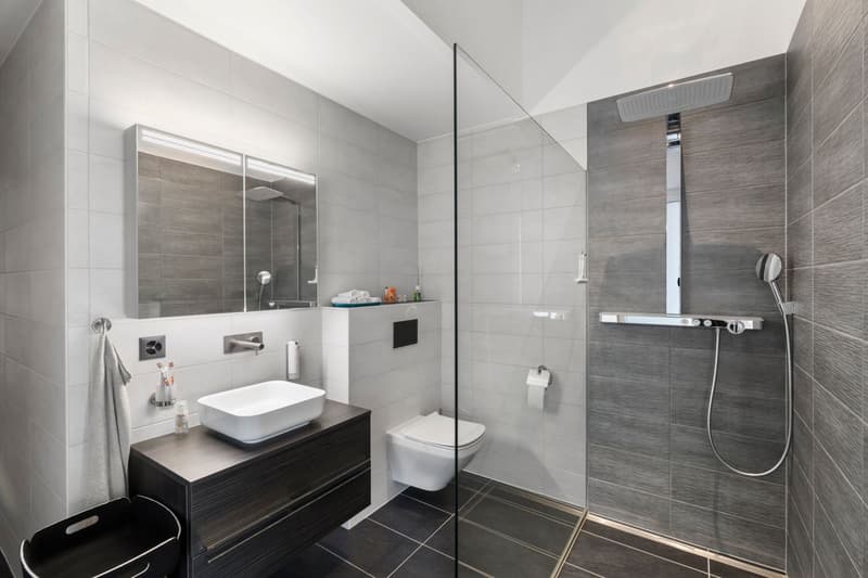 EN EXCLUSIVITE: Un bijoux de 230 m2 situé à 15 minutes d'Epalinges liant luxe, calme et espace. (13)